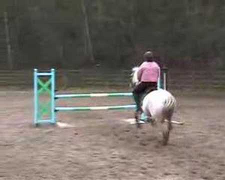 Training With Amy Watkins