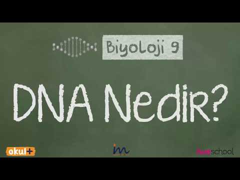 RNA Nedir