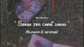 Sokha tor chobi dakhu (slowed & reverb)#lofi