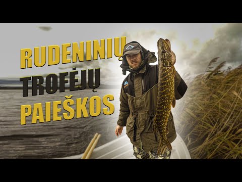 Video: Kaip Treniruotis Rudenį