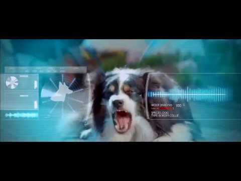 Bord Gais Energy Home - Collie Dog Acting