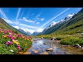 Best Hawaii Reggae Vibes 🌊 Tropical Island Chill for Summer Relax