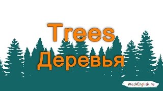 Английские слова - Деревья. Trees