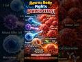 Your immune system hunts and destroys cancer cells before they grow. Silent. #cancerkillers #cancer