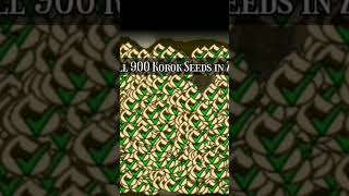 All 900 Korok Seeds In Zelda Botw