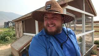 Composting Chicken Coop Tour