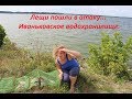 05 августа 2018. Лещи пошли в атаку. Иваньковское водохранилище.