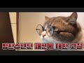 [방탄소년단/BTS] 평범한 패션 문외한 아미의 방탄소년단 패션에 대한 고찰