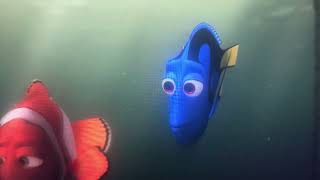 Scene For "Dory Tells Agent Kitty Kat to Wait A Minute" (For TFR Productions)
