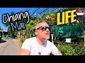 Life In Chiang Mai | Good Food and Hidden Gems | Thailand