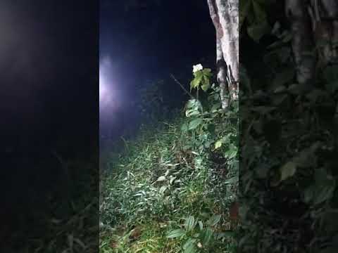 PENELUSURAN JEJAK HANTU PIRAU BERSAMA GUS BAROK