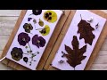 Easy~Cheap~Flower Press~PLUS~Tips And Tricks For Pressing