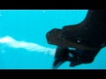 Propeller underwater with GoPro HD R5