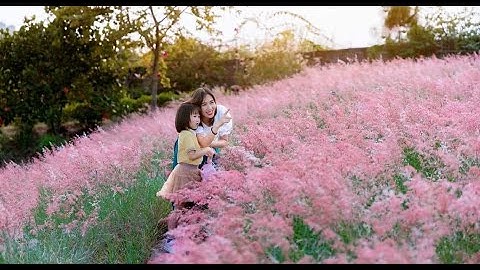 Check in ngày mới ở "đồi cỏ hồng"😍 Địa điểm "Sống Ảo" Hot nhất Chí Linh - Hải Dương | Bi and Thóc