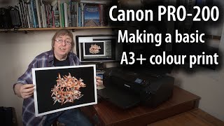 Canon PRO200: Printing a basic A3+ colour print [13' x 19']