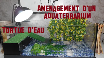 Comment remplir un aquarium pour tortue d'eau ?