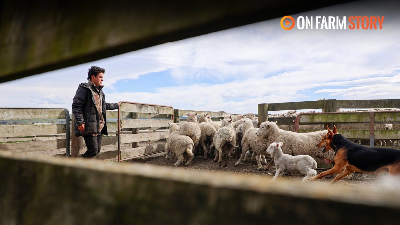 Turning a childhood dream into a farming reality