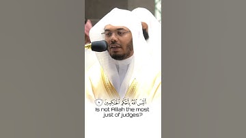 سورة التين للشيخ ياسر الدوسري#ياسر_الدوسري