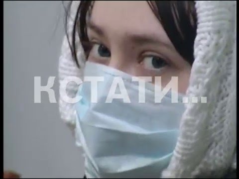 Смертельная инфекция - число погибших от свиного гриппа увеличилось до 7 человек