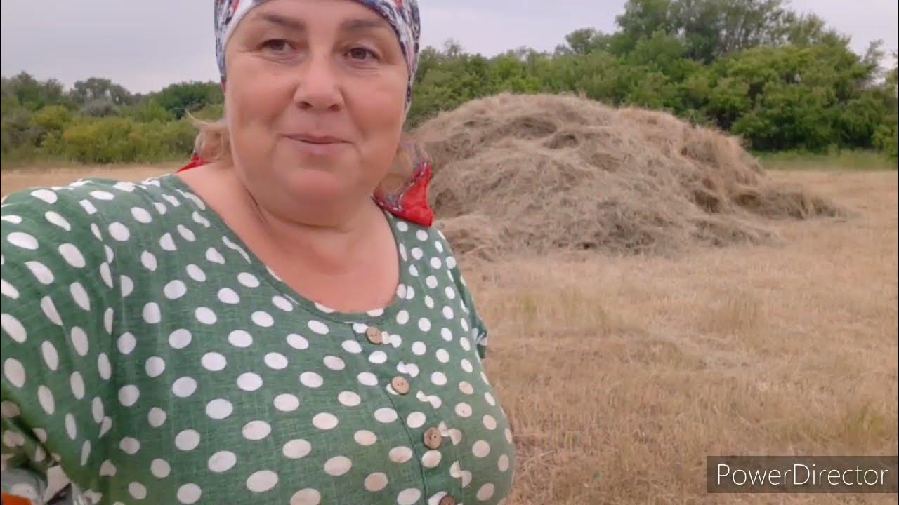 Дневник деревенской казачки. Дневник казачки. Дневник деревенской казачки. Дневник казачки ютуб. Дневник деревенской казачки.