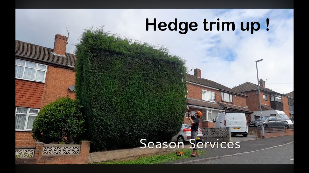 Hedge trimming time ! #viral #viralvideo #subscribe - YouTube