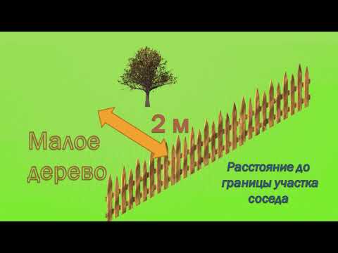 На каком расстоянии от  участка соседа можно ставить  туалет  жилой дом  гараж и другие объекты
