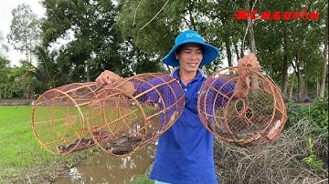 Cách đặt lờ đơn giản dính rất nhiều cá//Simple way to put a lot of fish//NC Nguyễn