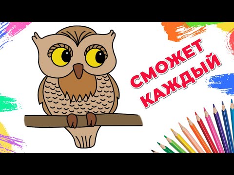 Как нарисовать сову за 3 минуты? Очень просто!