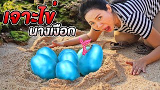 ทำลายไข่ นางเงือก!! นางเงือกท้องแก่ คลอดลูกไม่ไหว| หนังสั้น EGG MERMAID EP.3 | พี่เฟิร์น 108Life