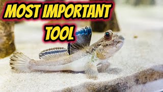 THE MOST IMPORTANT TOOL!  Using a Refractometer for Brackish and Marine Aquariums