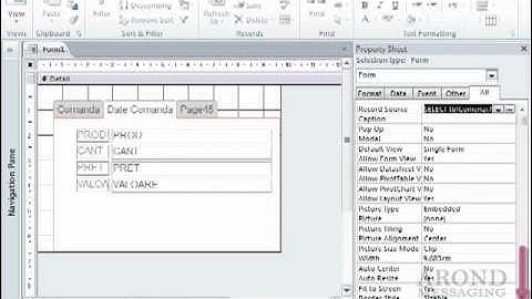Using Access 2010 - Add a Tabbed Section