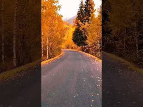 طبیعت زیبا پاییز دل نشین لطفا لایک و سبسکرایب فراموش نشه