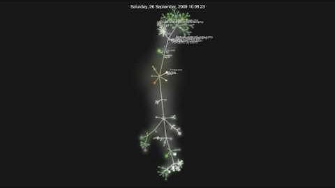 Gource Icinga Web 29.01.2010