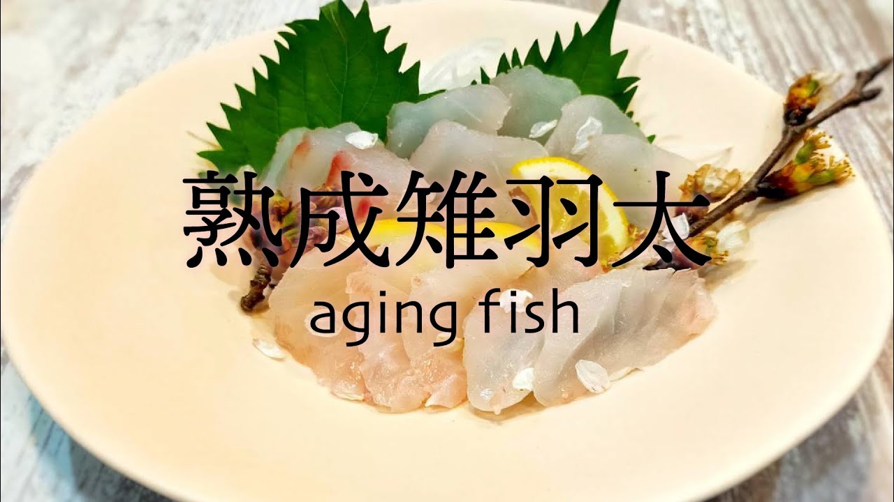 料理動画 釣ったアコウを寝かせて刺身にしてみました Youtube