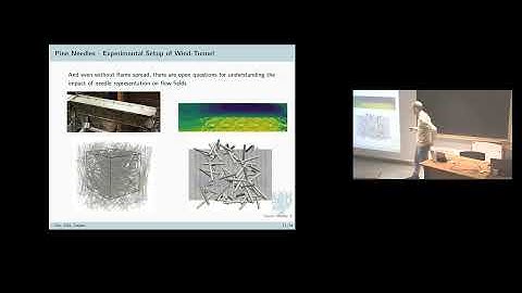 Wildfire Modeling – Importance of Highly-resolved Vegetation Structures  - Fabian Brännström