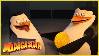 DreamWorks Madagascar en Español Latino | Un regalo para el pequeño | Los Pingüinos de Madagascar