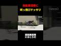 自転車泥棒をふっとばす#shorts #shortvideo #youtubeshorts