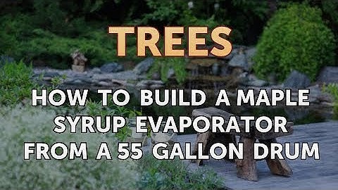 How to Build a Maple Syrup Evaporator From a 55 Gallon Drum