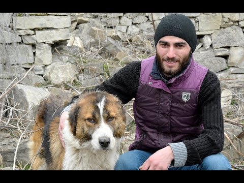 დე ფაქტო საზღვართან მარტო დარჩენილი ქართული სოფელი უგზოდ, უშუქოდ, უტელეფონოდ