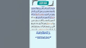 سورة التوبة الاية 65-67 فارس عباد قرآن 574