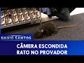 Rato No Provador Câmeras Escondidas 23 12 20