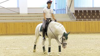Minden napra lovaskultúra - Mélyre lovaglás (Dallos Gyula) (53. rész)