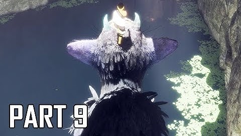 The Last Guardian Walkthrough Part 9 - Splash (PS4 Pro Let