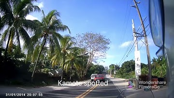 Freedconn R1 Plus sample video