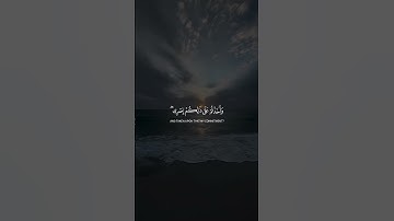 Surah Al-Imran 81-82 سورة آل عمران #quranib #quran