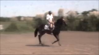 LAS LOMAS - QUAD MALLORCA
