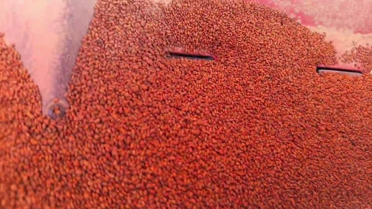 ٧ مارس، ٢٠٢٦