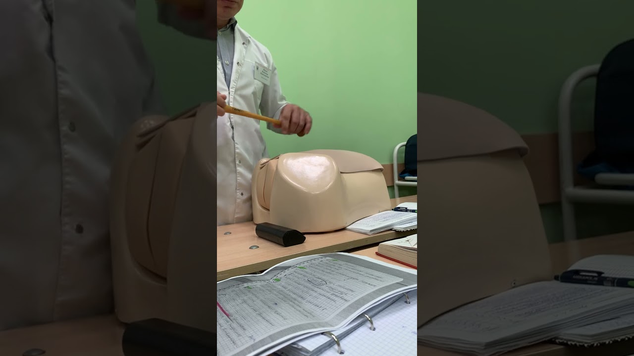 Аускультация плода