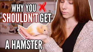 why you SHOULDN'T get a hamster
