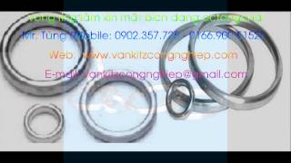 VÒNG RING JOINT OCTANGONAL OVAL SOFT IRON screenshot 2